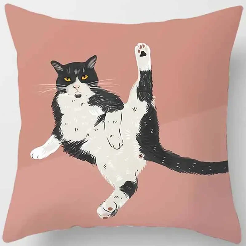 Coussin animaux chat drôle