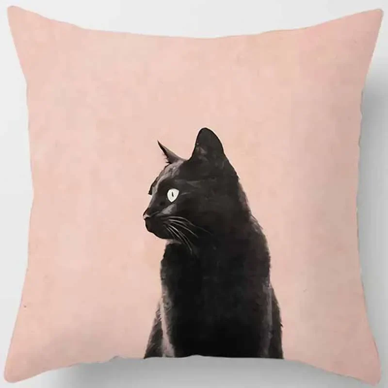 Coussin animaux chat drôle