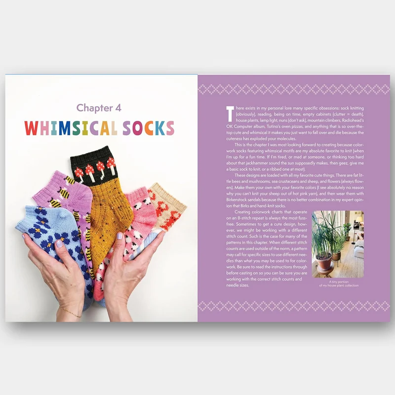 The Sock Obsession - Summer Lee