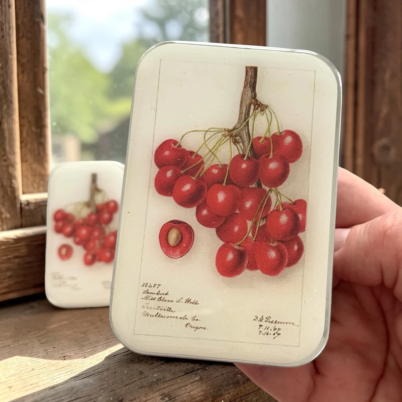 Boîtes Métalliques - Firefly Notes