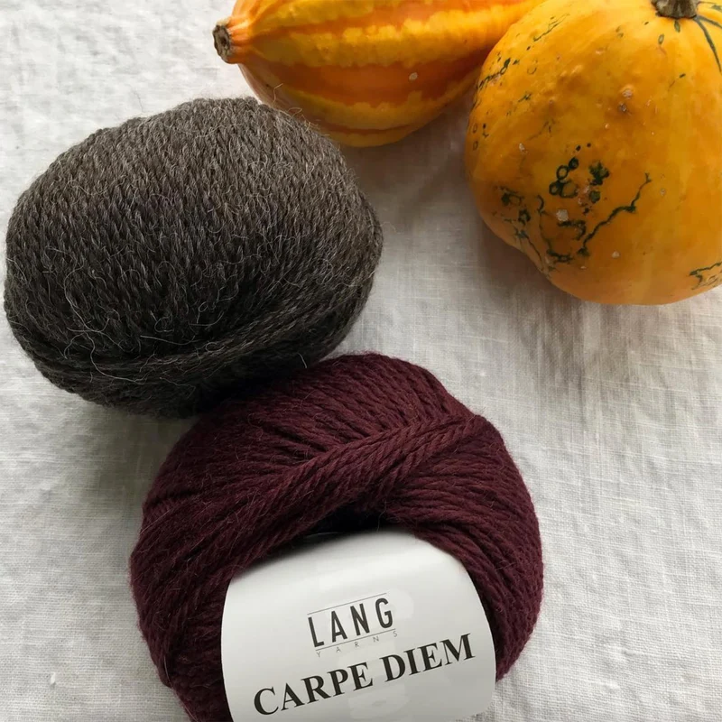 Carpe Diem - Lang Yarns