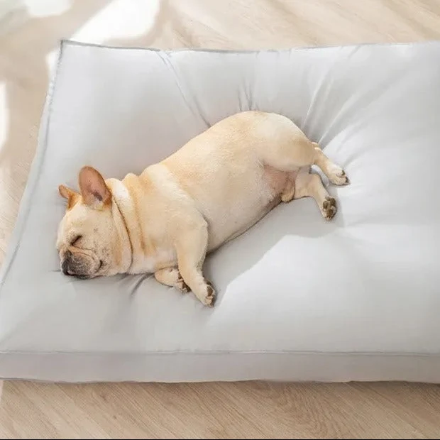 Coussin imperméable style luxueux pour chien