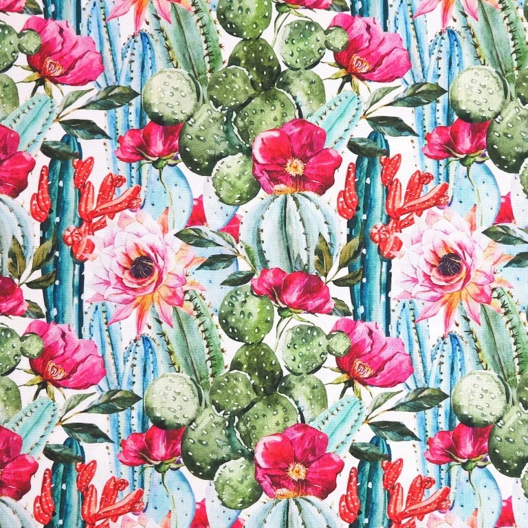 Cactus Plants