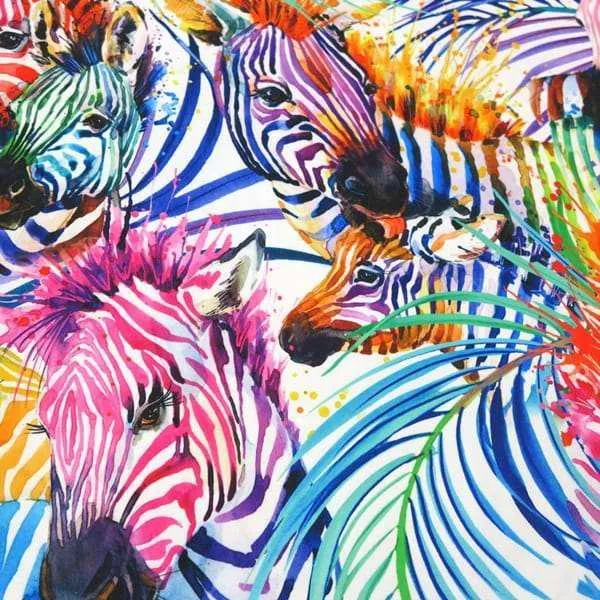 Rainbow Zebras
