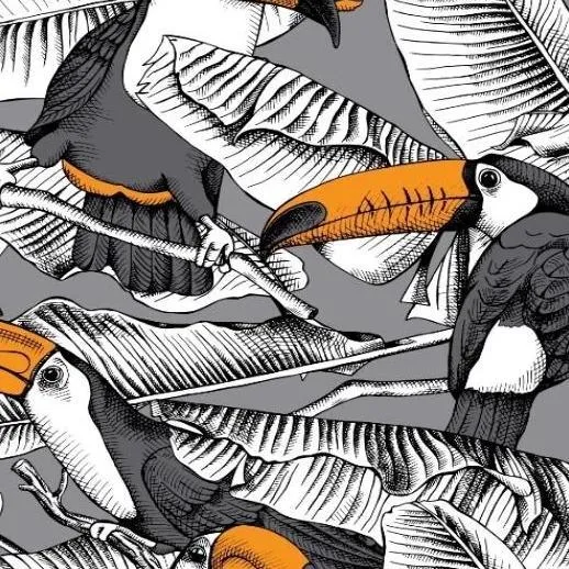 Toucans
