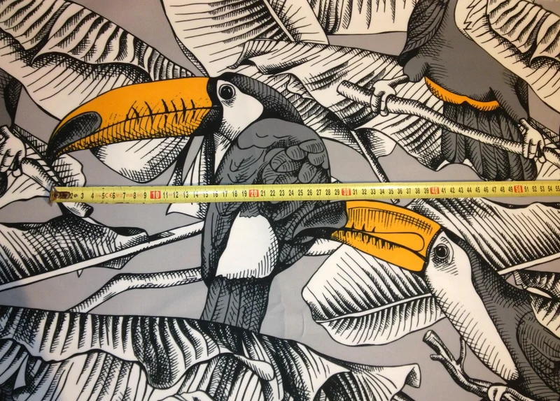 Toucans