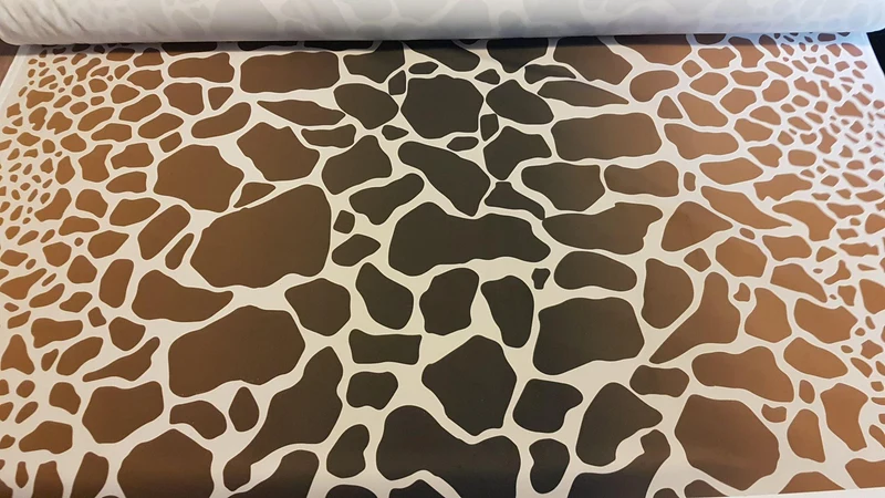 Giraffe Spots