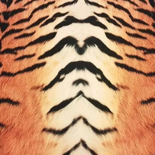 Tiger Stripes