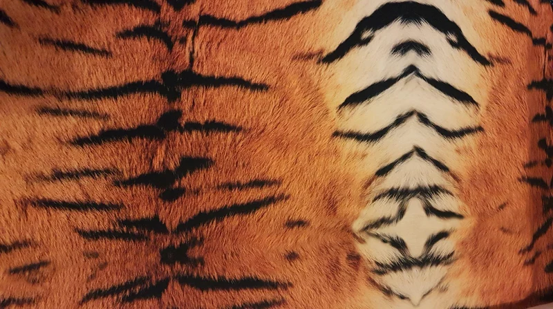 Tiger Stripes