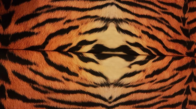 Tiger Stripes