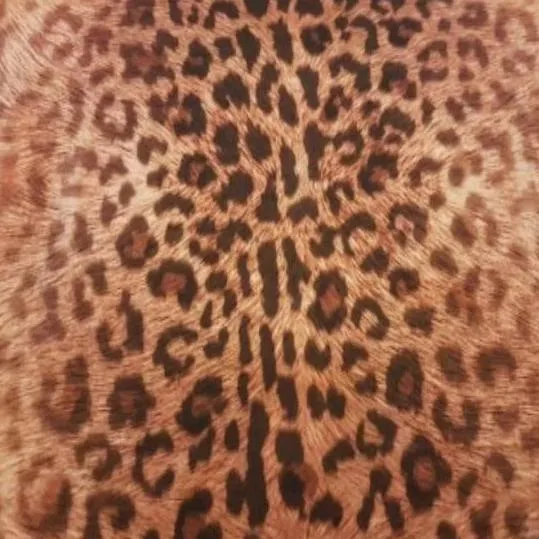 Jaguar Spots