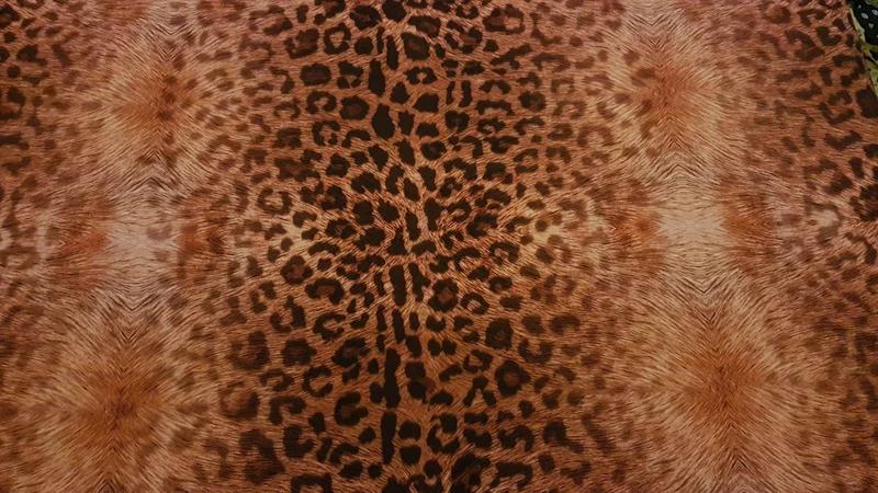 Jaguar Spots
