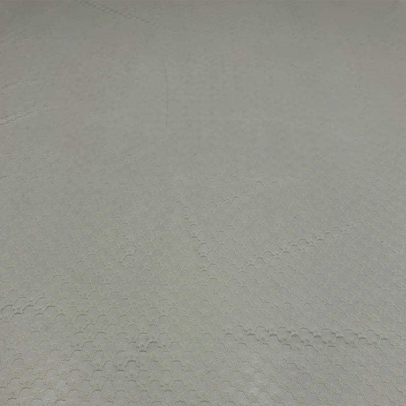 Tissu Maille Dentelle, Stretch - Euridice