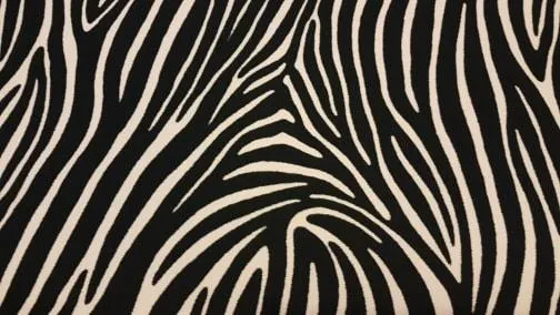 Zebra Stripes