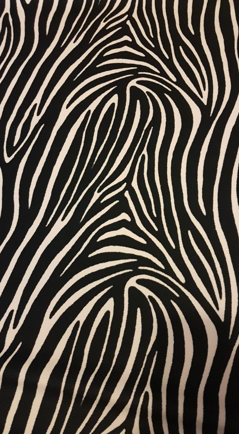 Zebra Stripes