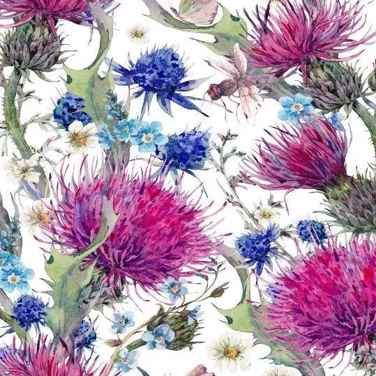 Thistle Purple Flowers