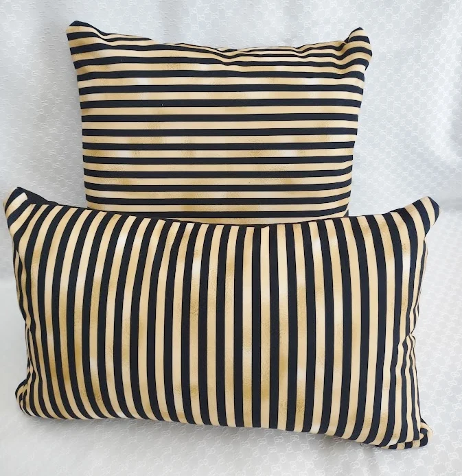 Stripped Set of Two Cushions