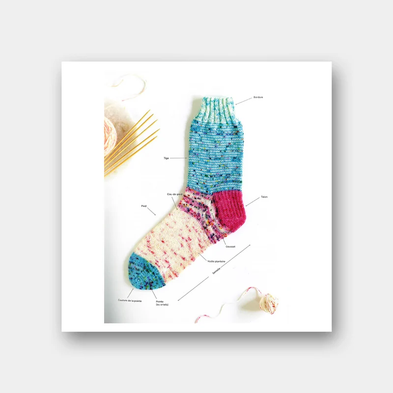 La Bible des Chaussettes au Tricot - Lynne Rowe