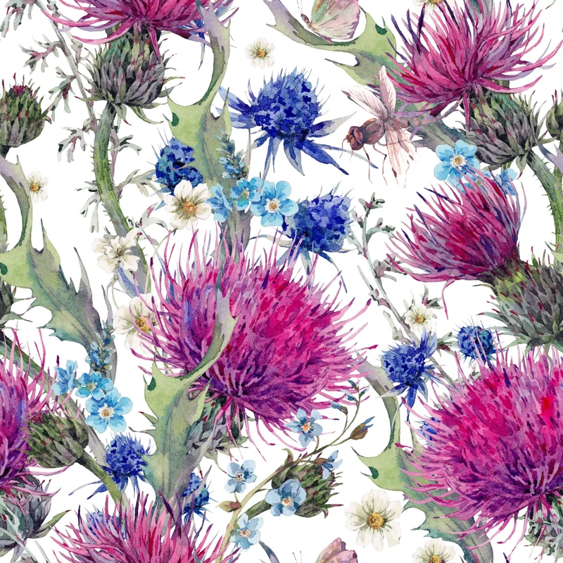Thistle Cotton