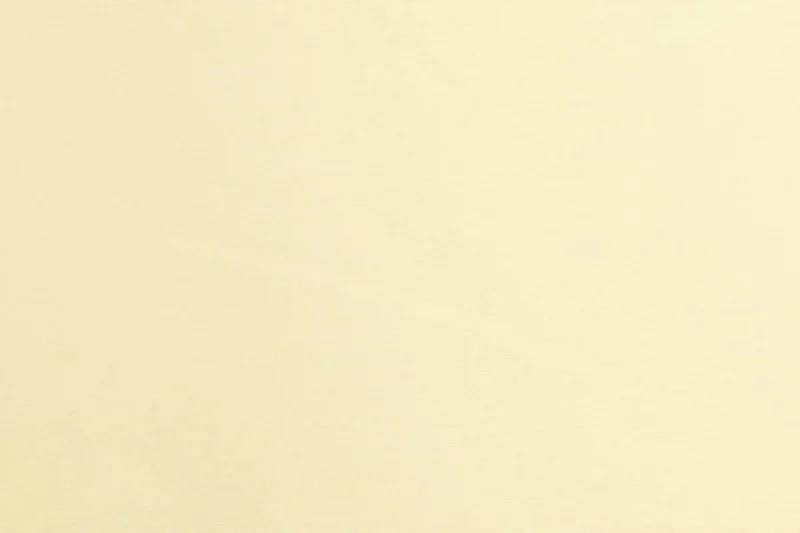 Beige Canva