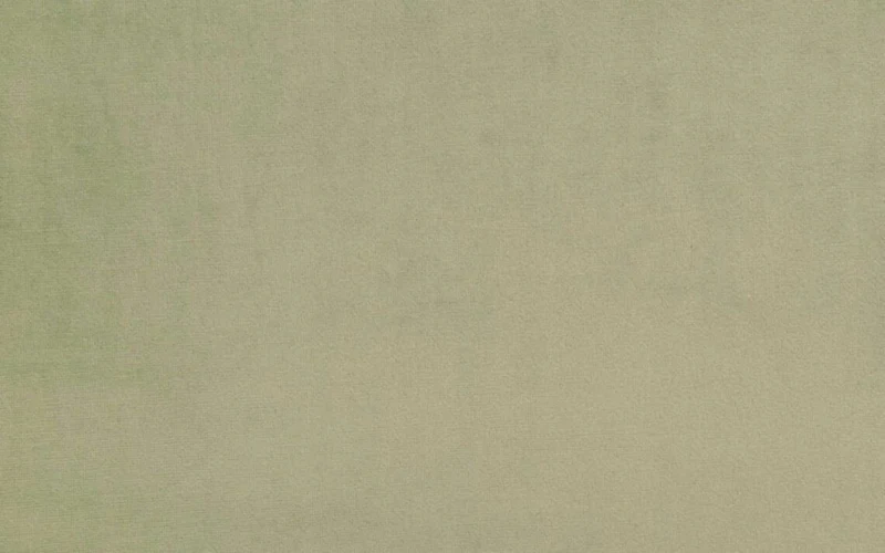 Sage Green Shiny Velvet