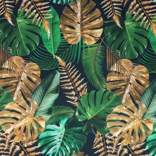 Gold Green Monstera