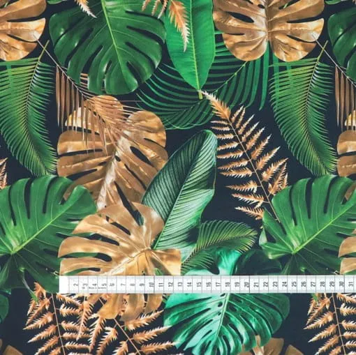 Gold Green Monstera