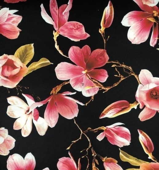 Magnolia Flowers
