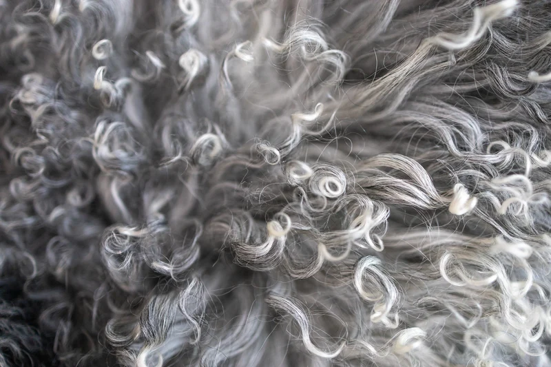 Coussin peau de mouton du Tibet gris naturel