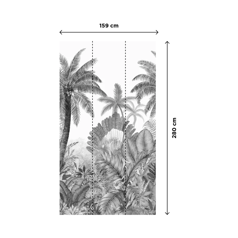 PARADISIO