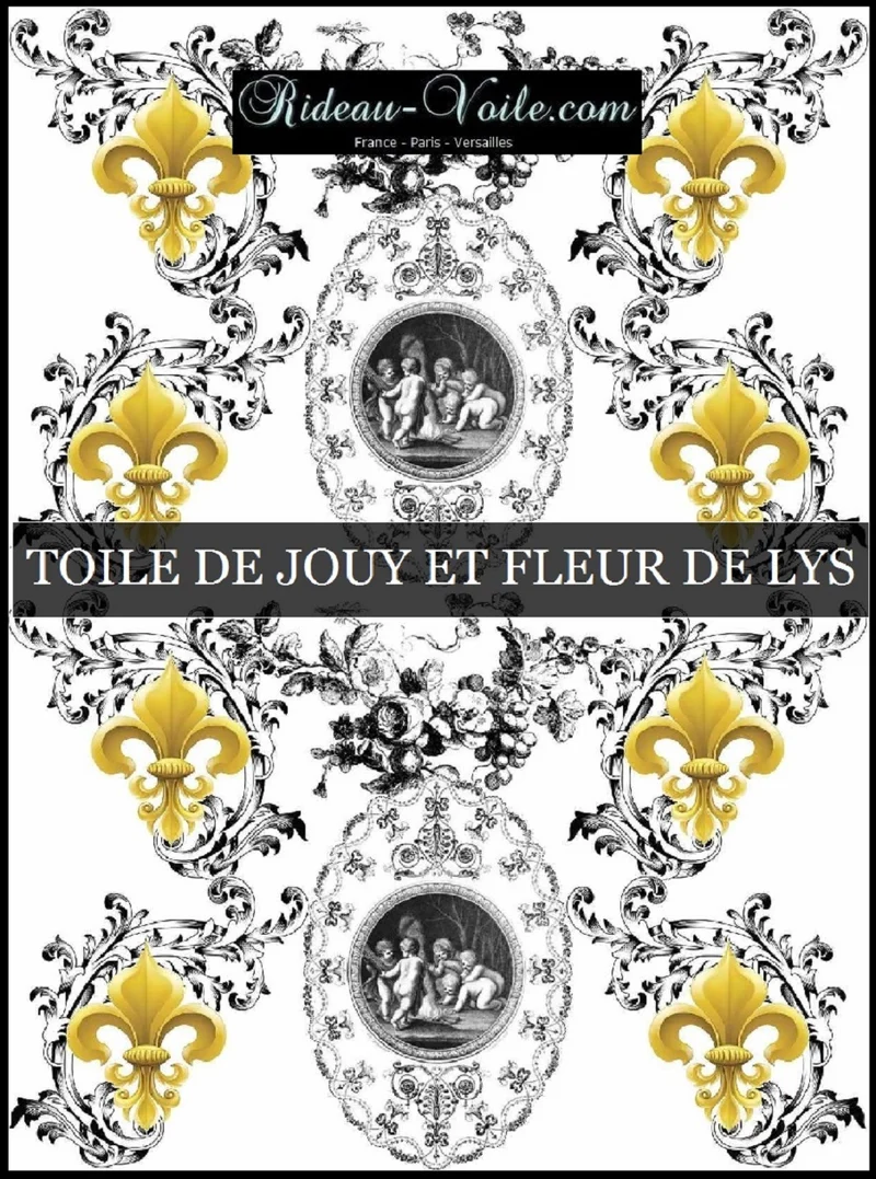 Toile de Jouy blanc noir tissu au mètre style Empire Anges Fleur de Lys Or