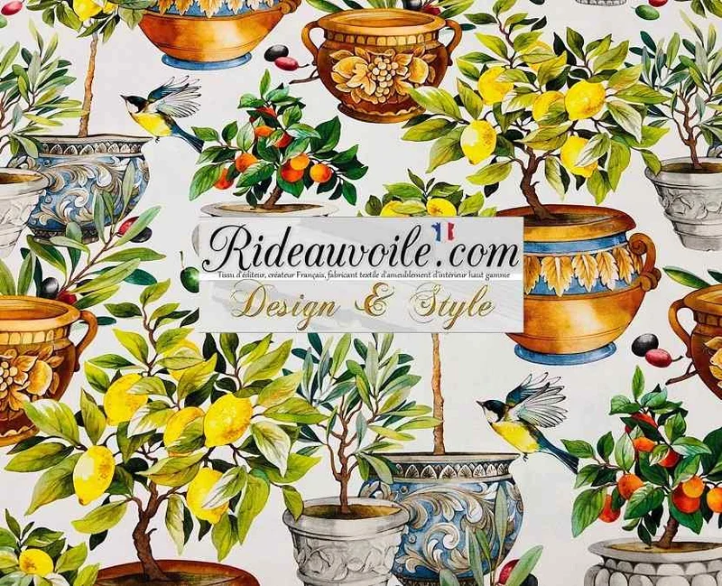 Tissu coton d'ameublement motif agrume mètre imprimé citronnier olivier orange mandarine