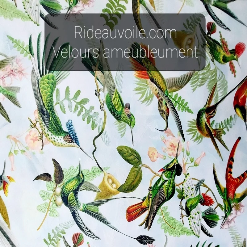 Tissu ameublement velours imprimé oiseaux motif Colibri au mètre rideau