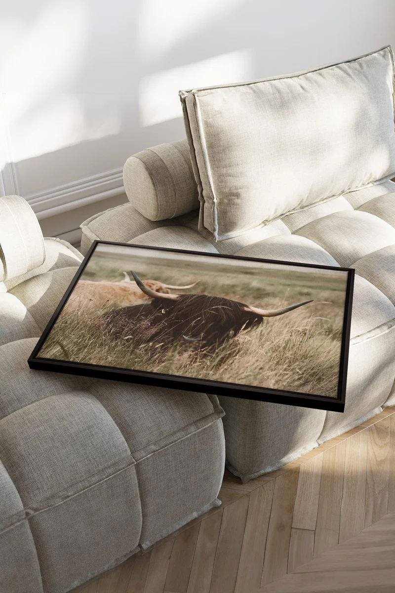 HIGHLAND SPIRIT, Oeuvre sur toile étirée