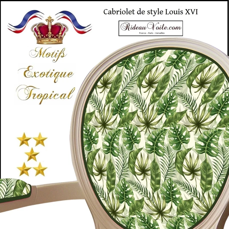 Cabriolet de style Louis XVI Versailles Paris French Decorating home Louis Armchairs