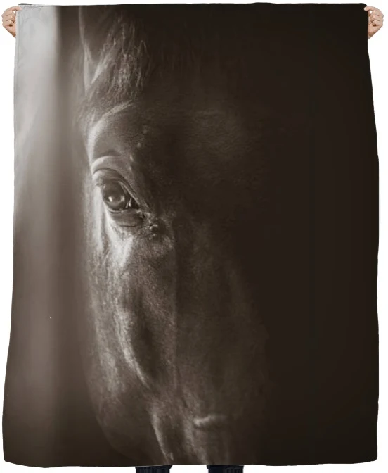 Tissu ameublement mètre motif tête cheval noir rideau couette coussin idée déco voilage