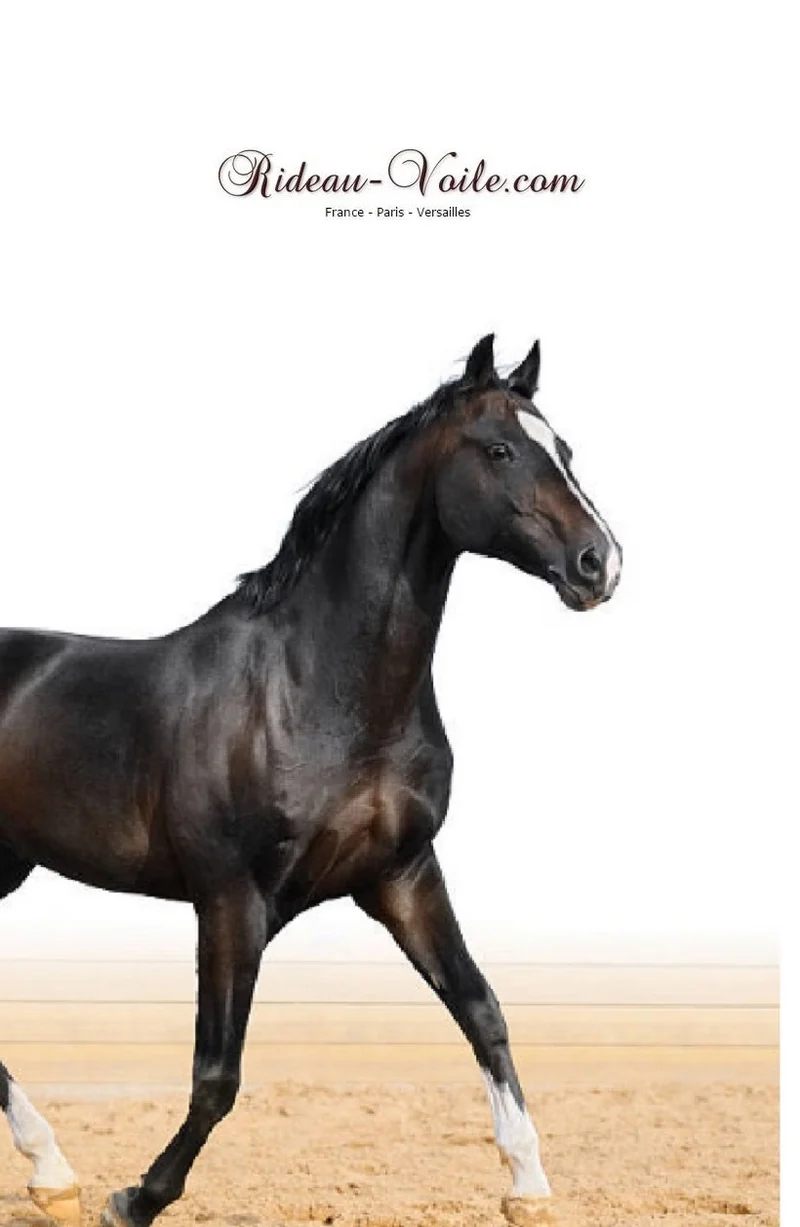 Cheval robe marron trotte tissu au mètre rideau housse couette coussin couverture