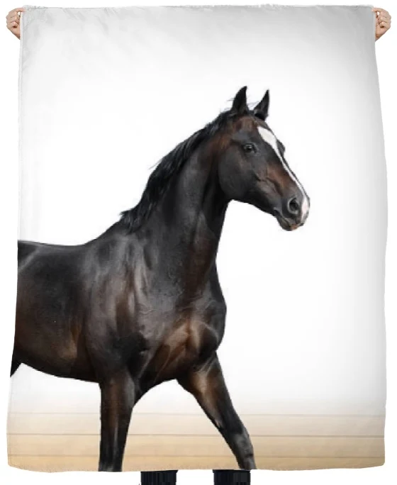 Cheval robe marron trotte tissu au mètre rideau housse couette coussin couverture