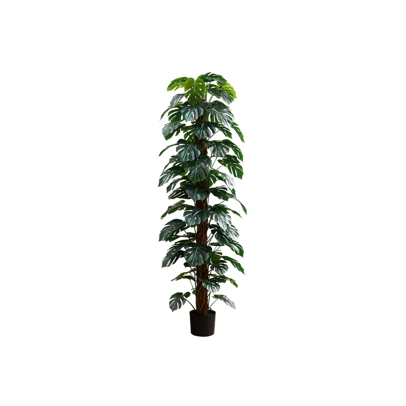 Germain Larivière Plantes artificielles I9521