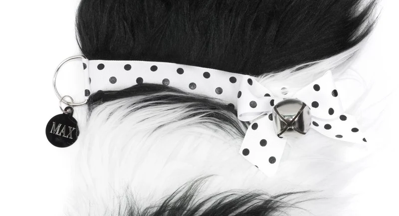 Border Collie Dog Christmas Stocking