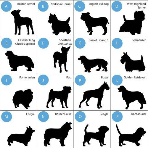Classic Silhouette Personalized Dog Throw Pillow