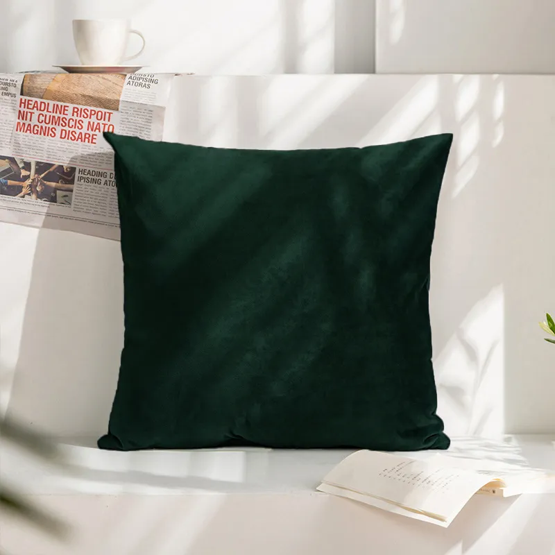 Housse de Coussin 50x50 Velours